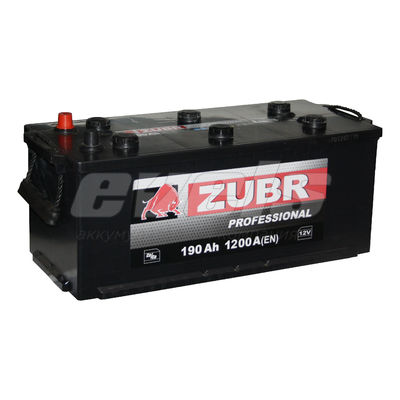 ZUBR Professional  6ст-190 евро — основное фото